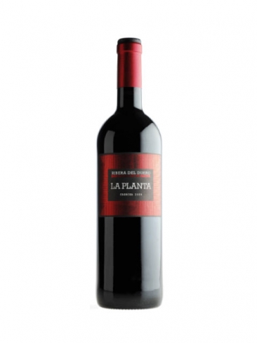 La Planta 2009